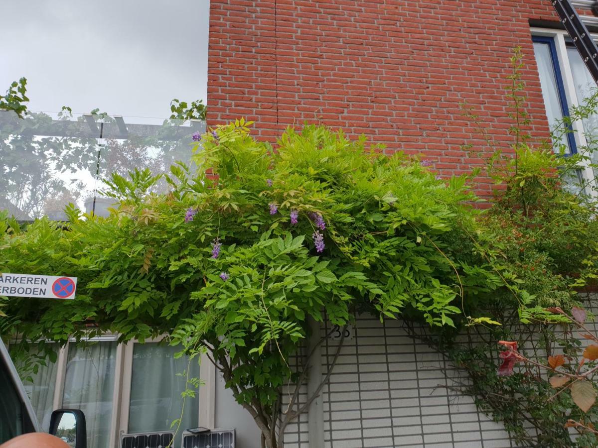 Johan'S B&B, Dakterras & Goedkoop Parkeren - Sinds 2014 Amsterdam Eksteriør billede